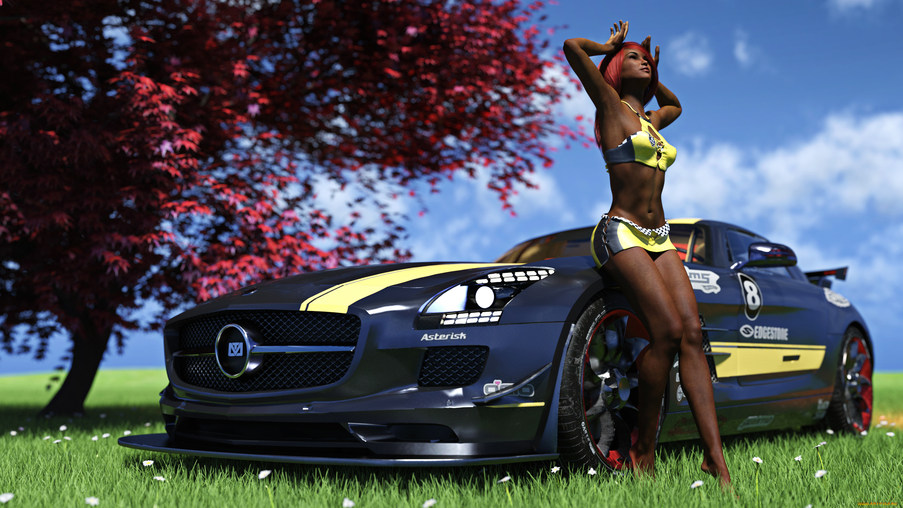 3 , -,  , people- car ,  moto, , , 